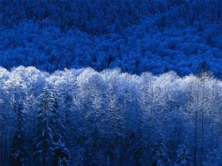 et oué toujours bleu
